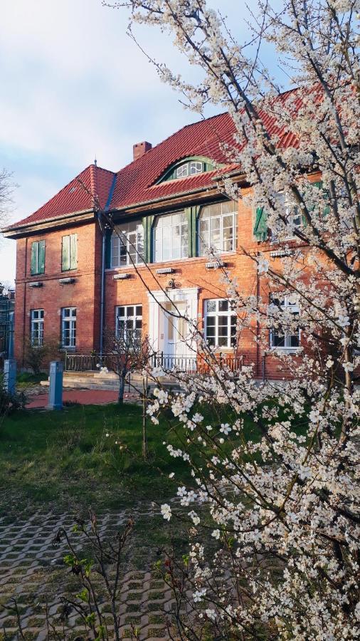 Haus 2 Linden Lischow